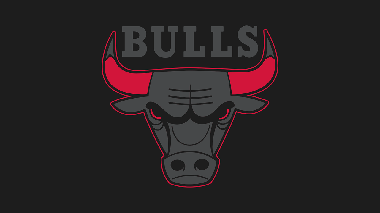 2014-15 Chicago Bulls Season Preview